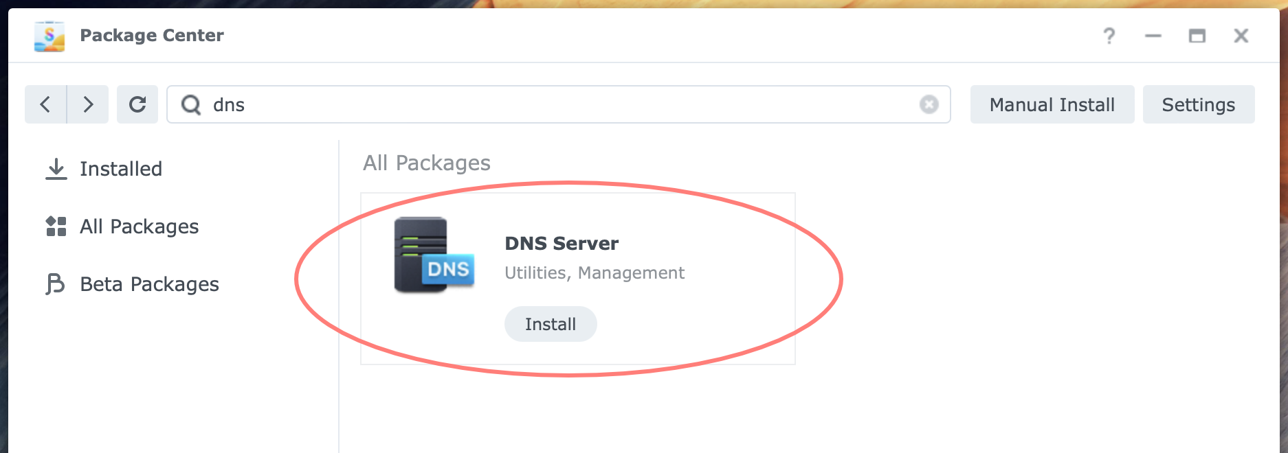 synology, package center, dns server, dsm7