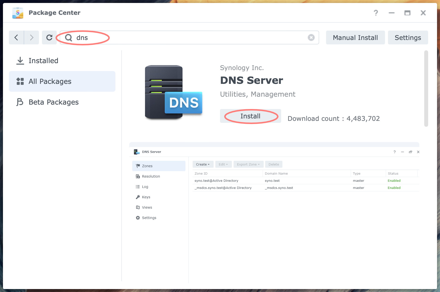 synology, package center, dns server, dsm7